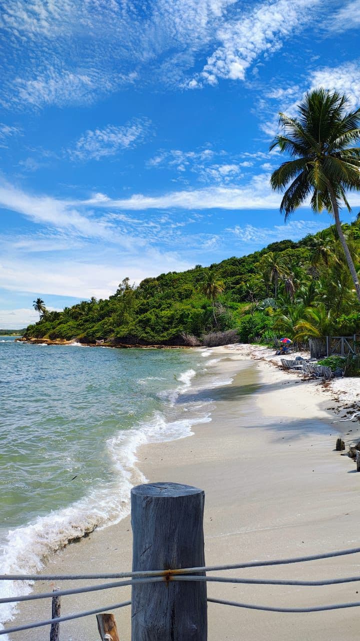 Área externa da Koala Chalé Beach